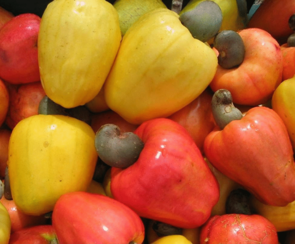 Why African Raw Cashew Nuts Continue to Outperform Other Origins Why African Raw Cashew Nuts Continue to Outperform Other Origins