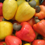 Why African Raw Cashew Nuts Continue to Outperform Other Origins