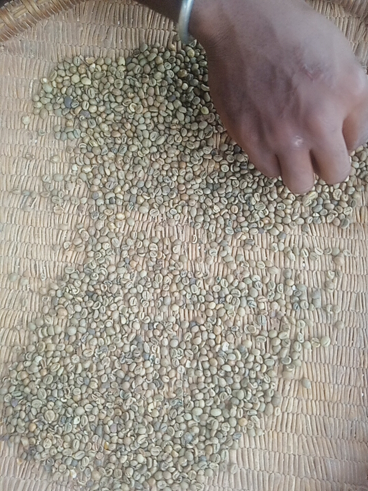 Coffee Beans