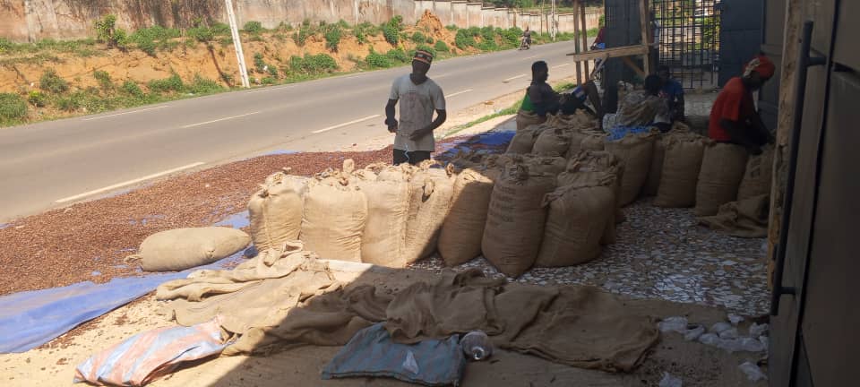 Workers loading produce — West Africa