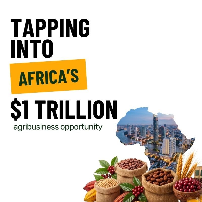 Africa’s Trillion Agribusiness Market: Where the Real Money Actually Sits Africa’s Trillion Agribusiness Market: Where the Real Money Actually Sits